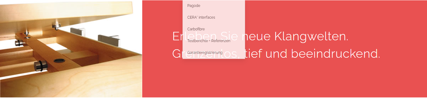 finite-elemente_pagode_racksysteme_bielefeldPNG